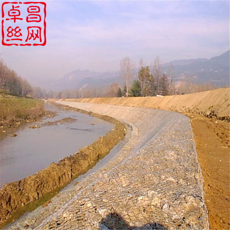 卓昌 (429).jpg